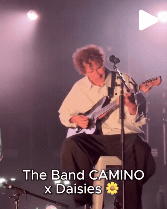 The Band CAMINO x Daisies cover